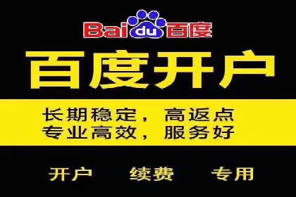 百度推广中SEO优化的成功案例分析